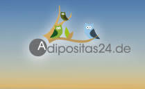 Adipositas 24 Community